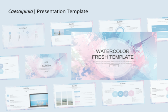Introducing Caesalpinia: A Versatile Template for Modern Creatives