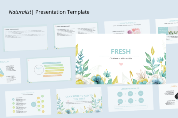 Naturalist: A Versatile Template for Modern Storytelling